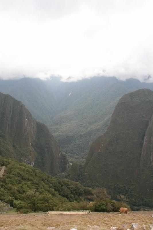 Peru 1292
